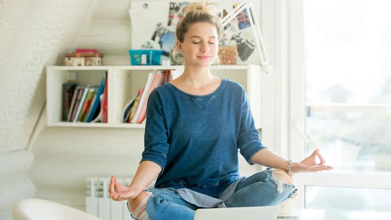Curated relaxation guides on a shelf